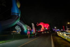 BIB: 
                            <button type="button" onclick="openModal(26553934)" class="btn btn-primary btn-sm float-right btn-popup" data-toggle="modal" data-target=".modal-high-quality">
                        <i class="fas fa-shopping-cart"></i> Add to Cart
                    </button>
                                            <button type="button" onclick="isThisMe(26553934, true)" class="btn btn-success btn-sm float-right btn-popup btn-isme hidden" data-toggle="tooltip" data-placement="bottom" title="นี่คือรูปของคุณใช่ไหม คลิกที่นี่เพื่อเอาเข้าอัลบั้ม">
                        <i class="fas fa-plus"></i> Add to album
                    </button>
                    <button type="button" onclick="isThisMe(26553934, false)" class="btn btn-warning btn-sm float-right btn-popup btn-isnotme hidden">
                        <i class="fas fa-ban"></i> Remove from album
                    </button>